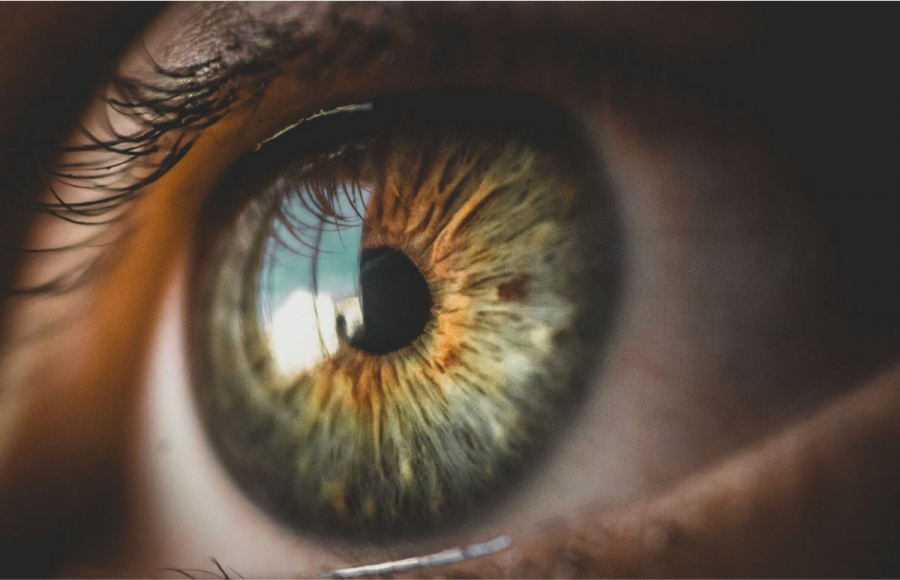 augen